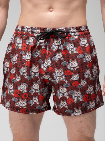 Koty