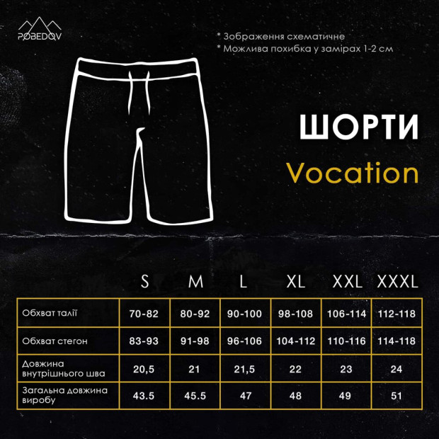 Пляжні шорти Pobedov Vocation Dark Gray Темно-сірий, 2XL - 7